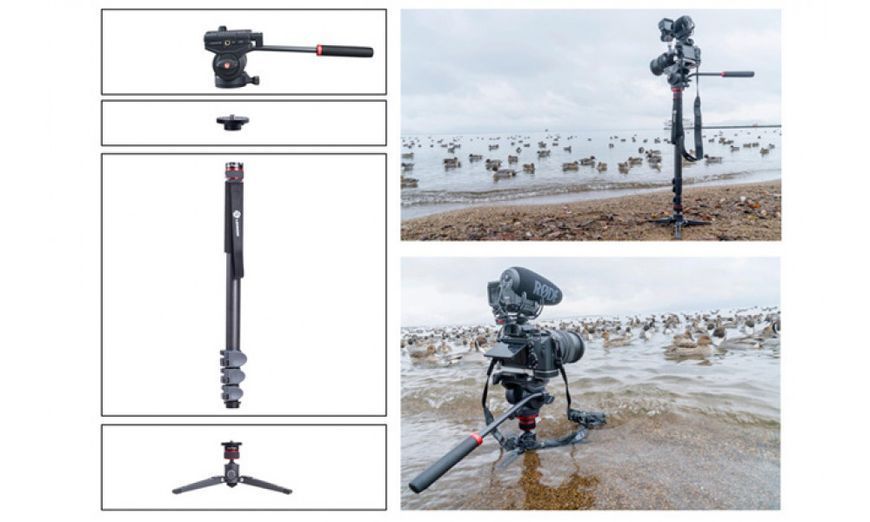 Монопод Lennon LM5CH Quick Release Monopod with Modular Design (LM5CH) (без голови) 10005299 фото