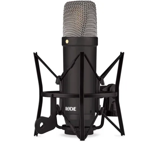 Студийный микрофон RODE NT1 Signature Series (черный) (NTI SIGNATURE BLACK) 1002164 фото