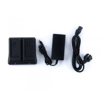 Зарядное устройство Rolux Charger RL-EXC2 для 2 аккумуляторов типа Sony BP-U (RL-EXC2) 10003119 фото