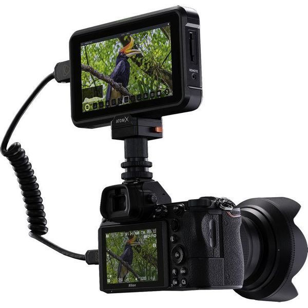 Накамерний монітор Atomos Shinobi 5.2 4K HDMI Monitor (ATOMSHBH01) 10001418 фото