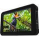 Накамерний монітор Atomos Shinobi 5.2 4K HDMI Monitor (ATOMSHBH01) 10001418 фото 1