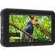 Накамерний монітор Atomos Shinobi 5.2 4K HDMI Monitor (ATOMSHBH01) 10001418 фото 2