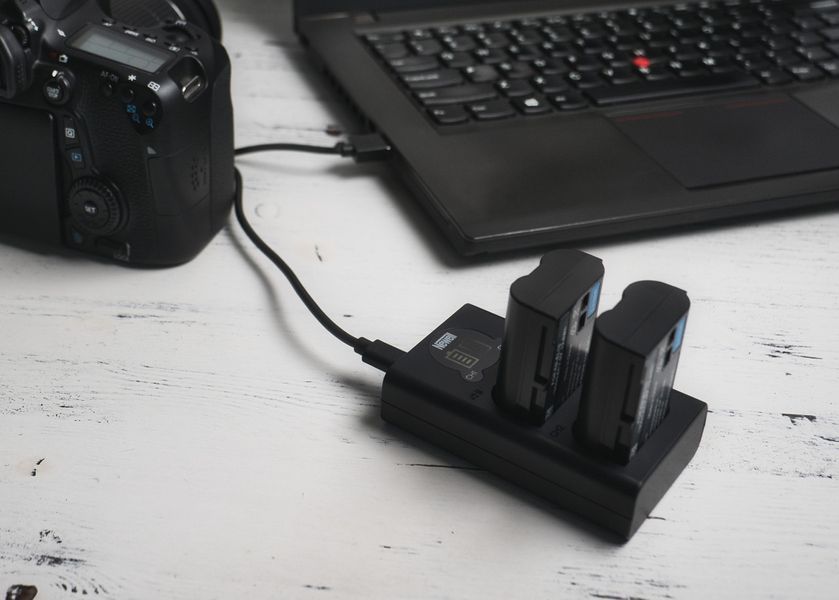 Зарядка двойная NEWELL для аккумуляторов NP-F550/750/970 (DL-USB-C for NP-F) 10001860 фото