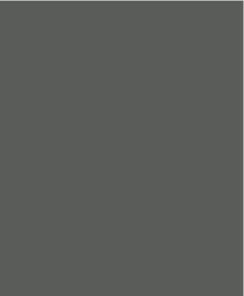 Фон бумажный Savage Widetone Thunder Gray 2.72m x 11m (27-12) 10003662 фото