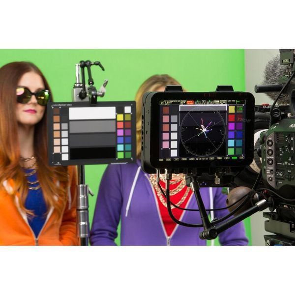 Система калибровки X-Rite Calibrite ColorChecker Video (CCVWB) (CALB602) 10005487 фото