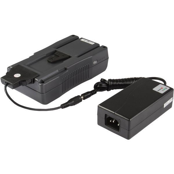 Зарядное устройство SWIT S-3010S Portable Charger for V-Mount Batteries (S-3010S) 1000531 фото