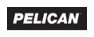 Pelican