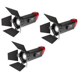 Набір студійного світла Aputure LS-mini20 Daylight/Bi-Color 3-Light Flight Kit (MINI20DDCWSTNDS) 10001785 фото
