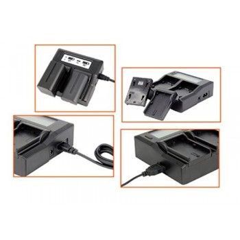 Зарядное устройство Dynacore DDBC-TP (DDBC-TP) 10003084 фото