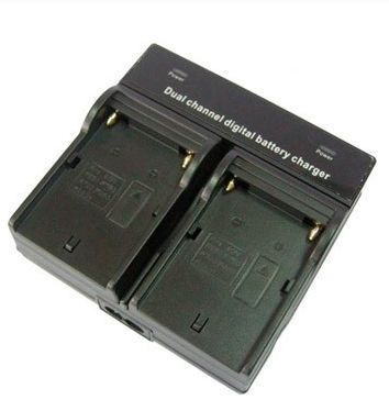 Зарядний пристрій Dynacore DV-2SF (DV-2SF) 10003094 фото